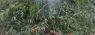 WhatsApp Image 2019-08-15 at 09.09.02 (1).jpeg