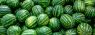 2019Food___Berries_and_fruits_and_nuts_Lots_of_striped_green_watermelons_137633_.jpg