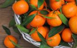 17_prichin_sest_mandarin.jpg