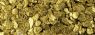 gold0.jpg