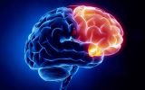 neurology.jpg