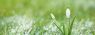 images_cms-image-000058307.jpg