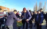 клоп1.jpg