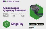 MegaCom_MegaPay_Штраф_КГ.jpg