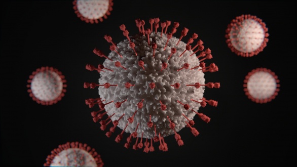 virus-5410598_1920.jpg