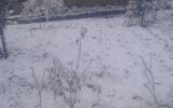 IMG-20181009-WA0004.jpg