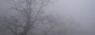 fog1.jpg