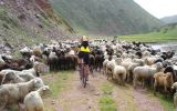 kyrgyzstan-tourism3.jpg