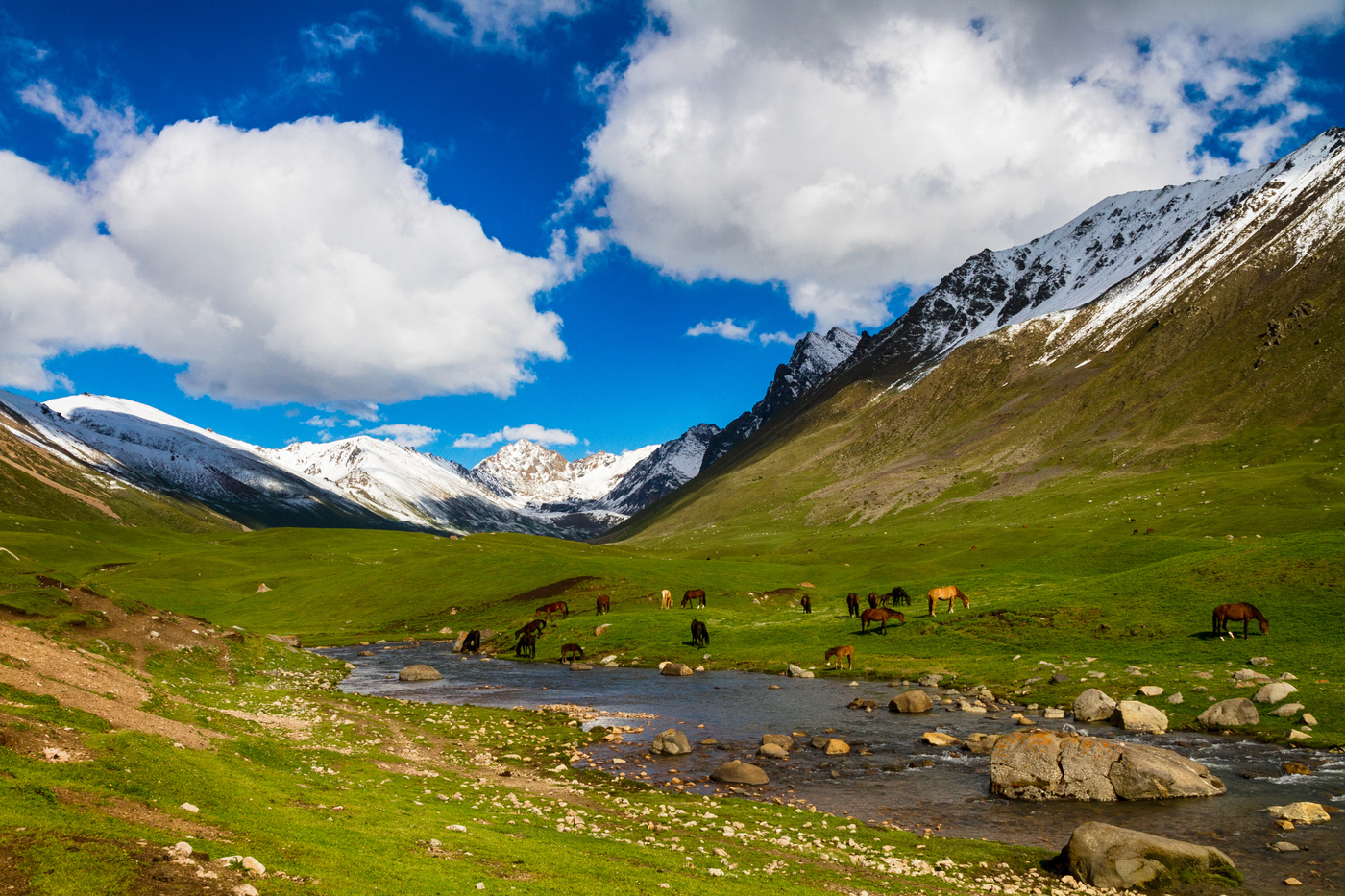 Три киргизии. Киргизия горы Долина Арашан. Киргизия горы Тянь-Шань. Ущелье Алтын Арашан. Ала-ТОО Киргизия горы.
