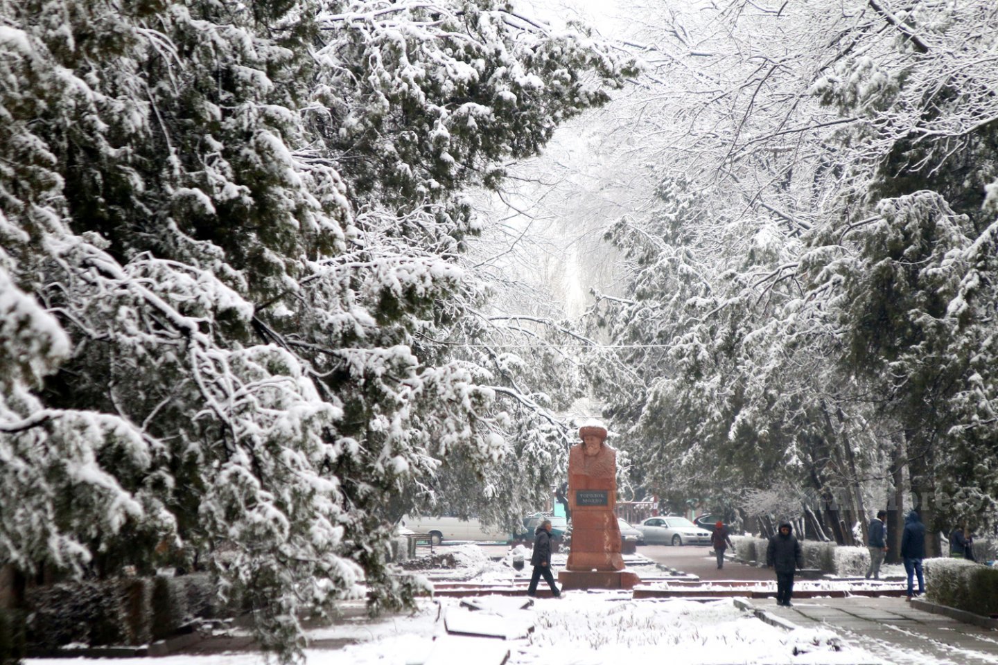 Снег сохраняет тепло. Климат Киргизии зима. Снег в Кыргызстане. Снег в Киргизии. Киргизия в декабре.