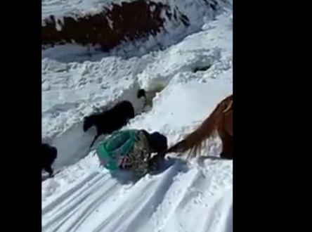 суусамыр.jpg