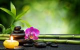 Feng_Shui_beautifully_bokeh______d_4300x3047.jpg