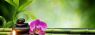 Feng_Shui_beautifully_bokeh______d_4300x3047.jpg