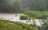 1200px-Rain_on_the_field.jpg
