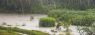 1200px-Rain_on_the_field.jpg