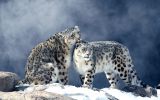 adobestock_295645320-2048x1356.jpeg