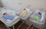 IMG_7437-1024x768.jpg