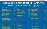 статистика.jpg