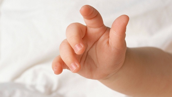 baby-hand-with-adorable-short-fingers-3oo9cbwbuh22vzpw.jpg