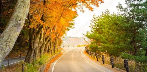 depositphotos_108633346-stock-photo-beautiful-autumn-trees.jpg