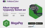 MegaCom_MegaPay_Штраф_КГ.jpg
