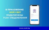 bez_nazvaniia_730x0.730x0.jpg