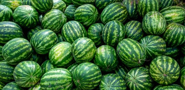 2019Food___Berries_and_fruits_and_nuts_Lots_of_striped_green_watermelons_137633_.jpg