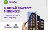 MegaCom_Новоселье2.jpg