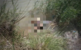 9D775C27-D256-4285-BBEC-4AE432DD7632.png