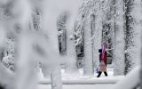 31E74E21-3276-4764-BC08-544D767E70D2_cx0_cy4_cw0_w1200_r1.jpg