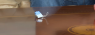 5cef53fa0f32a257784654.png