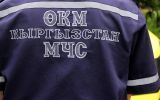 mchs.jpg