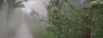 20180424_203434.jpg