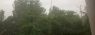 img_2329_730x0.730x0.jpg