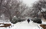 depositphotos_92066388-stock-photo-stock-image-of-a-snowing.jpg