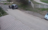 жал.png