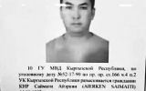 саи.jpg