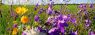 0_da1ec_c5b12cb6_orig.jpg