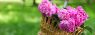 04faded91f7405b29c7009256b80d7a1.jpg